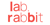 Lab Rabbit Studios Logotype