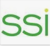 Strategic Solutions, Inc. Logotype