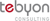 Tebyon Consulting Logotype