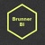 Brunner BI Logotype