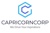 Capricorncorp Fraud Company Logotype