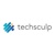 Techsculp Logotype