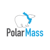 Polar Mass Logotype