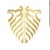QShield Logotype