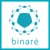 Binare Logotype