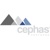 Cephas Partners Logotype