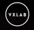 VXLAB Branding & Design Direction Logotype