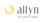 Allyn International Services Logotype