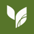 Evergreen Digital Marketing Logotype