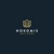 Nokomis Advisors Logotype