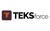 TEKSforce Logotype