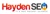 Hayden SEO Logotype