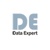 Data Expert Logotype