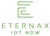 Eternax Logotype