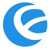 DSI Design Logotype