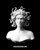 Medusa Japan Logotype