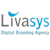Livasys IT Solution Logotype