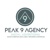 Peak 9 Agency Logotype