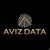 AVIZ DATA, LLC Logotype