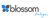 Blossom Strategies Logotype