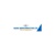 Naina Semiconductor Limited Logotype