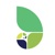 Allora Solutions Group LLC. Logotype