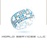 World Services LLC of Virginia Logotype