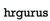 HR Gurus Logotype