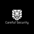 Careful Security Logotype