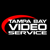 Tampa Bay Video Service Logotype