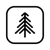 Black Pine Digital Logotype