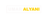SEO Logotype