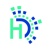 DataHorizzon Research Logotype