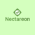Nectareon Technologies Logotype