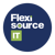 Flexisource IT Logotype
