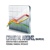 Craig M. Arons, CPA PFS PC Logotype