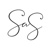 SAS Weddings Logotype