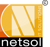 Netsol IT Solutions Pvt. Ltd. Logotype