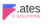 ATES IT SOLUTIONS LTD. Logotype