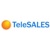 TeleSales, Inc. Logotype