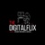 DigitalFlix Solutions Pvt Ltd Logotype