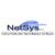 NetSys Interactive Inc Logotype