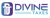 Divine Taxes USA Logotype