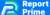 Reportprime Logotype