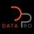 Data Pro Software Logotype