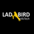 LadyBird InfoTech, LLC. Logotype