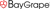 BayGrape Technology Solutions Logotype