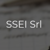 SSEI Logotype