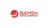 Bamsh Digital Marketing Logotype