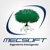 Mecsoft de Costa Rica Logotype